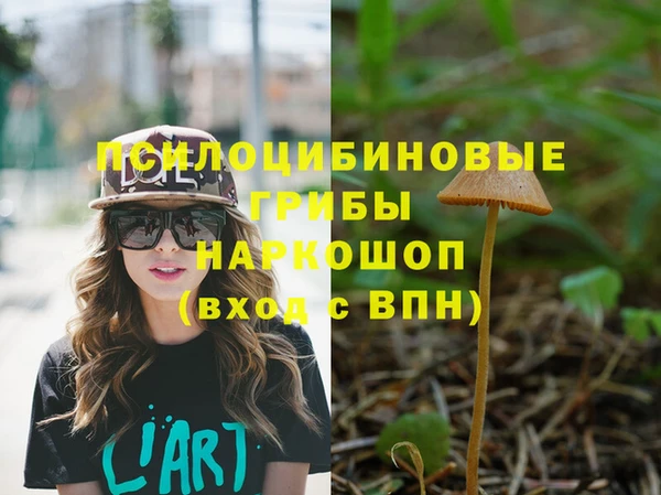 ПСИЛОЦИБИНОВЫЕ ГРИБЫ Алапаевск