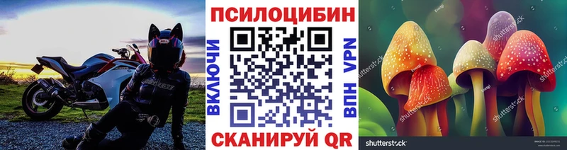 купить наркотик  Дно  Галлюциногенные грибы мухоморы 